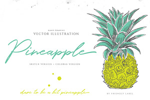 PINEAPPLE hand-sketched plus colors