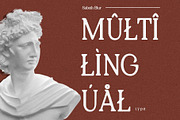 Sabeth Blur, a Serif Font by Craft Supply Co. (Thumbnail 7 of 8)