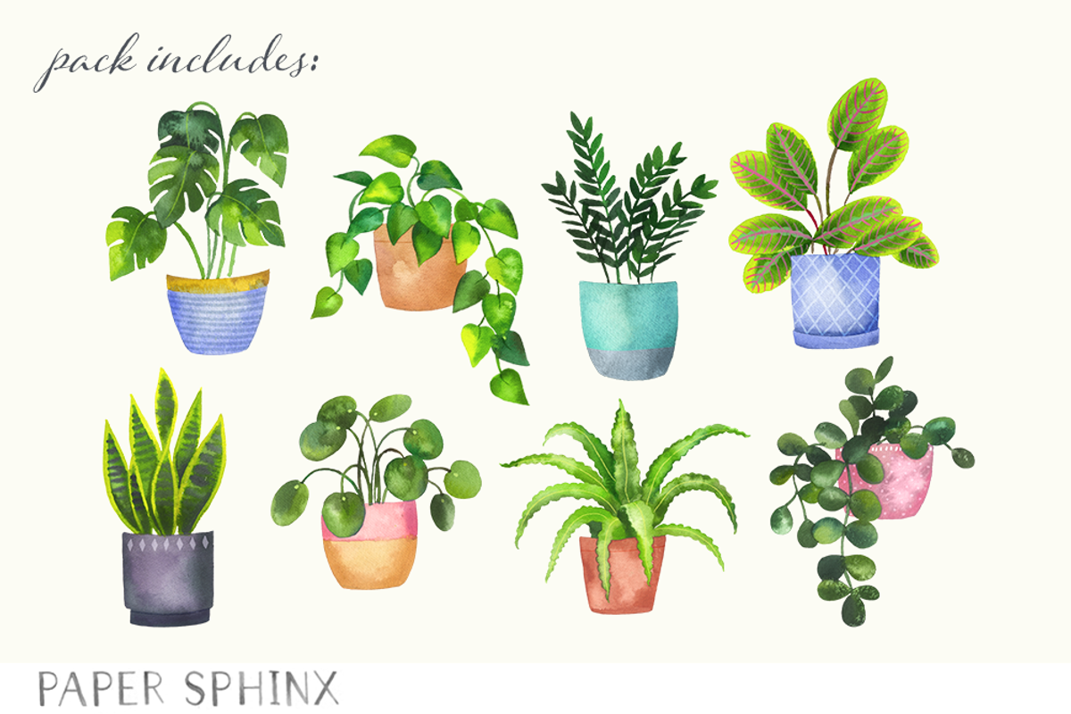 Watercolor House Plants Clipart, an Illustration by PaperSphinx (Photo 3 of 3)