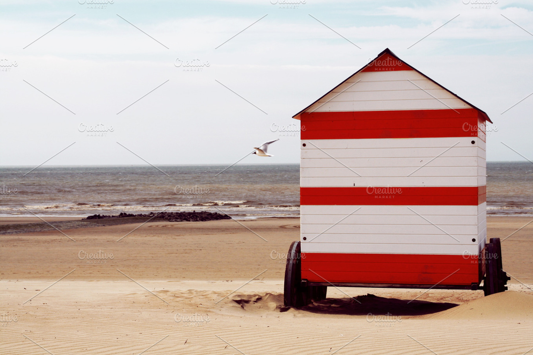 Little House On The Beach