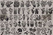 Old style flower stamps Procreate, a Brush Add-On by TheWhiteCatLab (Thumbnail 3 of 5)