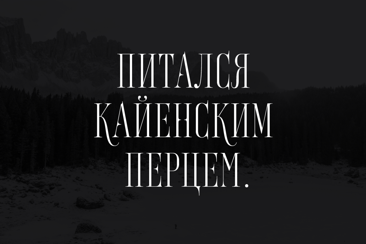 Ghost Dancer, a Serif Font by Yury Veselov (Photo 7 of 8)