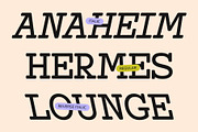 CS Maluce – Slab Serif Font, a Slab Serif Font by Craft Supply Co. (Thumbnail 2 of 8)