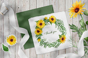 Sunflowers Watercolor Collection, an Illustration by Anna Druzhkova (Thumbnail 14 of 14)
