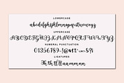Berlyn Script, a Script Font by Bosstype Studio (Thumbnail 5 of 8)
