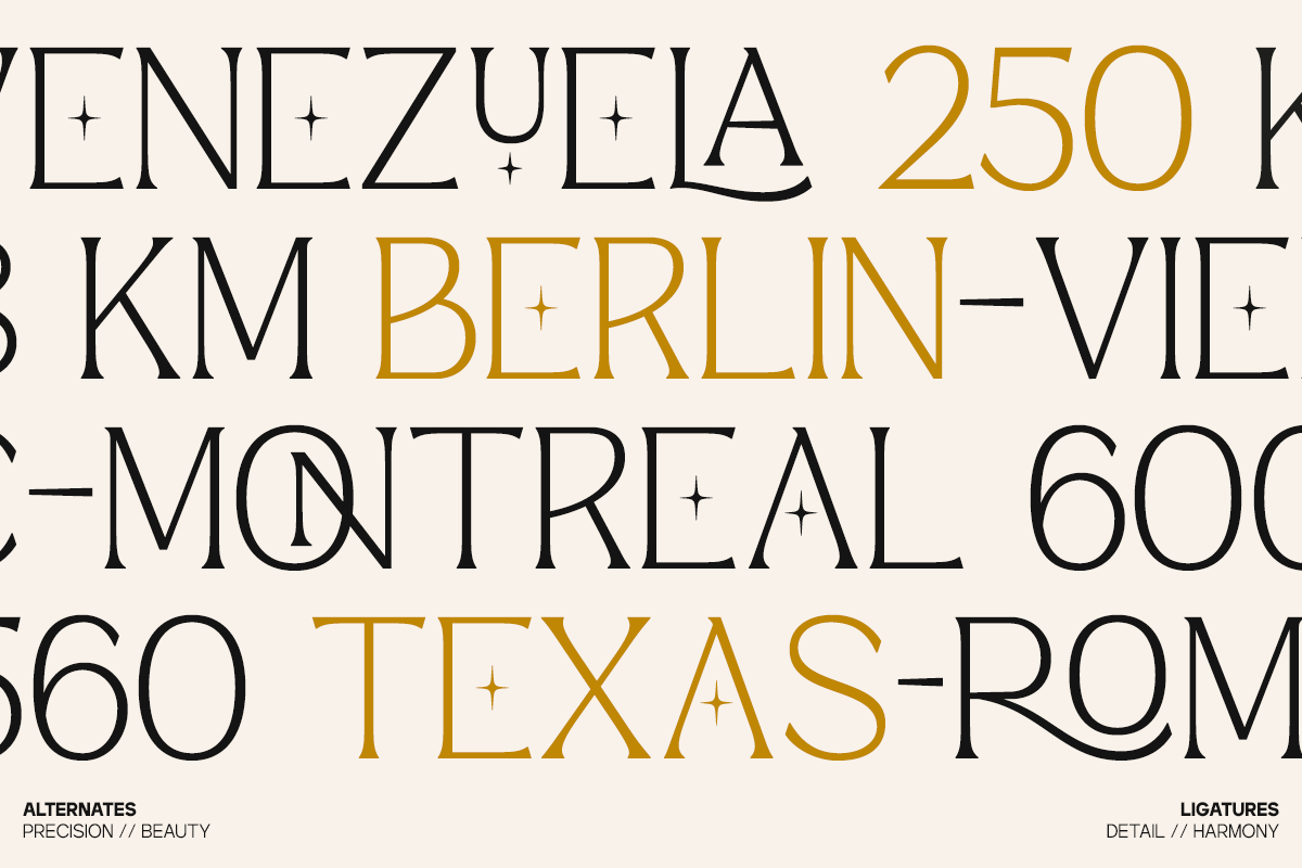 GC Marone - Elegant Essential Serif, a Serif Font by Glyphonic (Photo 14 of 15)