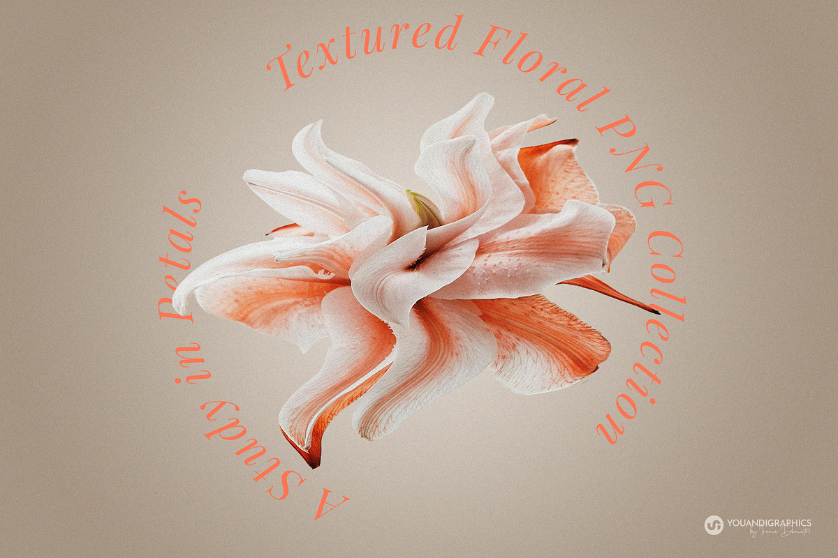 Modern Renaissance Florals, a Graphic by Youandigraphics (Photo 2 of 13)