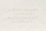 Unlikely Lily - A Hand-Drawn Serif, a Serif Font by Brackish Creative (Thumbnail 2 of 5)