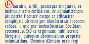 IanSegoe, a Blackletter Font by Ingrimayne Type (Thumbnail 4 of 8)