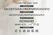 Beatles Culture - Font Duo, a Script Font by Olexstudio (Thumbnail 8 of 8)