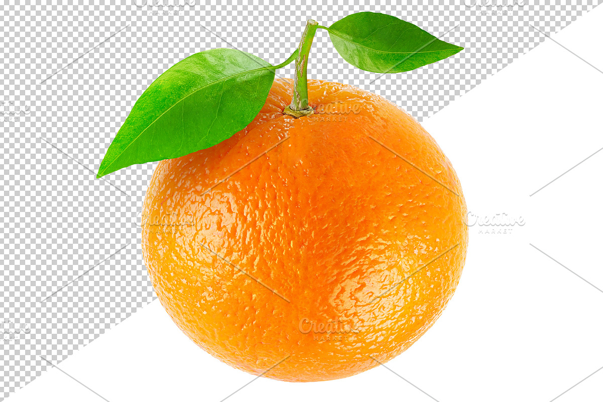 Orange fruit preview 3