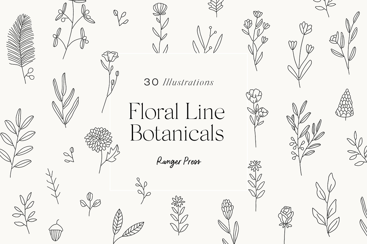 Wildflowers Line Art Botanicals, an Illustration by LifestyleCraftCo (Photo 1 of 6)