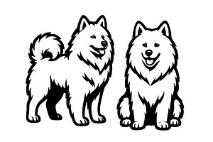 Two Samoyed dogs with happy express, an Animal Illustration by yod67