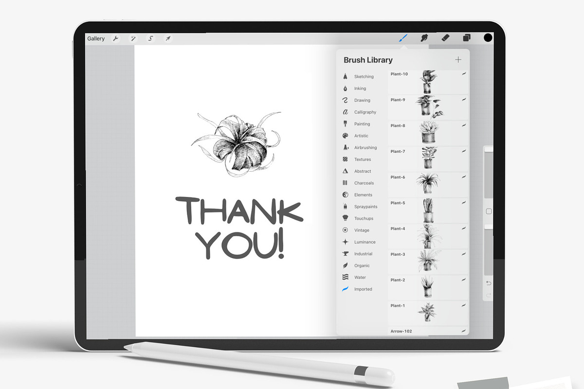 Procreate Brushes 27 Indoor plants, a Brush Add-On by Greek fonts by nantia.co (Photo 5 of 5)