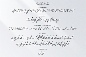 Carlotte Walker Script Business Font