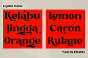 Ligerid - Chic Serif Font, a Serif Font by Eztudio (Thumbnail 6 of 14)