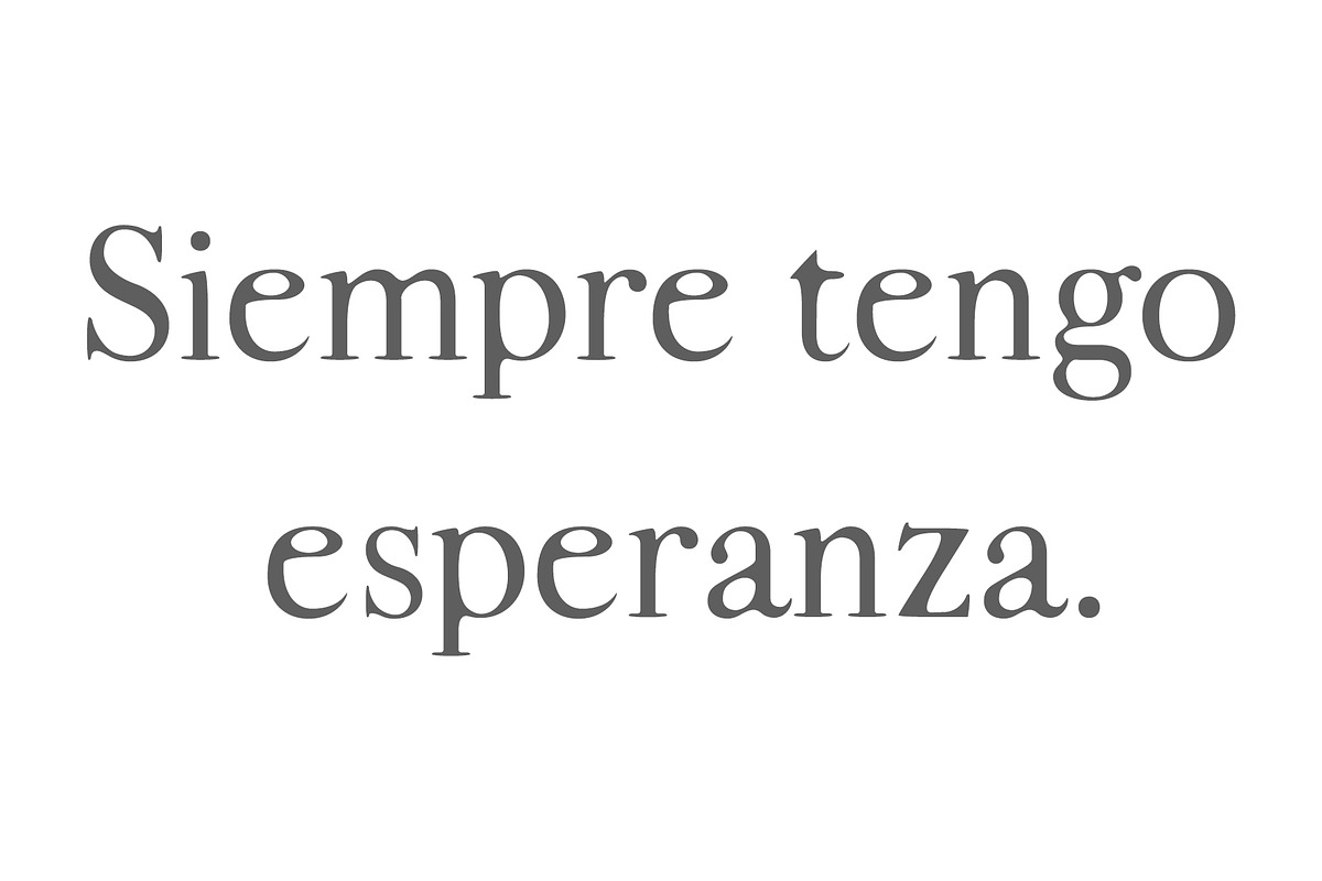 Adallyn Serif Font Family preview 6