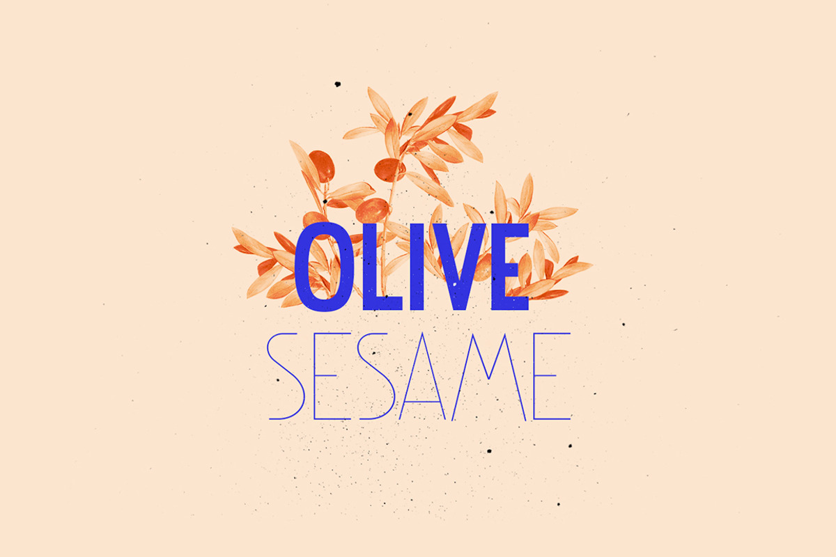 NovaDeco Type Family, a Sans Serif Font by Types and Boats (Photo 3 of 10)