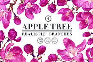 4 Apple Tree Flower Branches