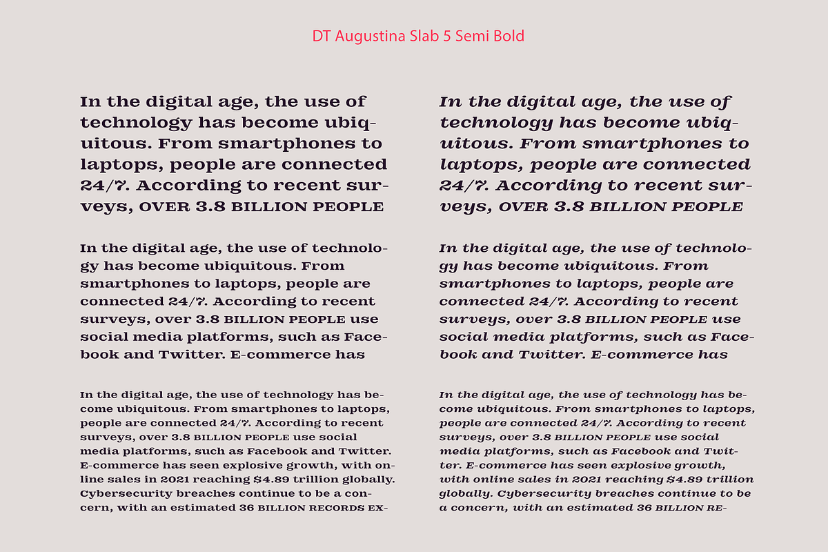 DT Augustina Slab 5 Subfamily, a Slab Serif Font by Deveze Type Foundry (Photo 12 of 31)