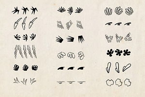 Matisse Photoshop Brushes & Patterns