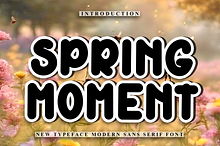 Spring Moment