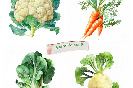 Herbs In Basket preview 4