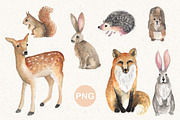 Watercolor animals, an Object Graphic by JuliaBadeeva (Thumbnail 3 of 12)