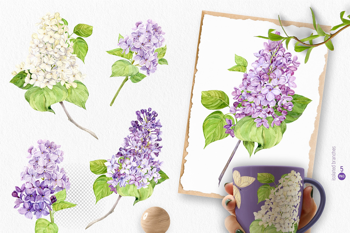 Lilac. Watercolor set., an Illustration by Tata Pilip (Photo 2 of 21)
