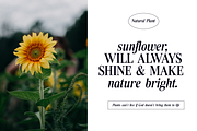 Tiffany Laurence Nostalgic Serif, a Serif Font by Ronny Studio (Thumbnail 2 of 14)