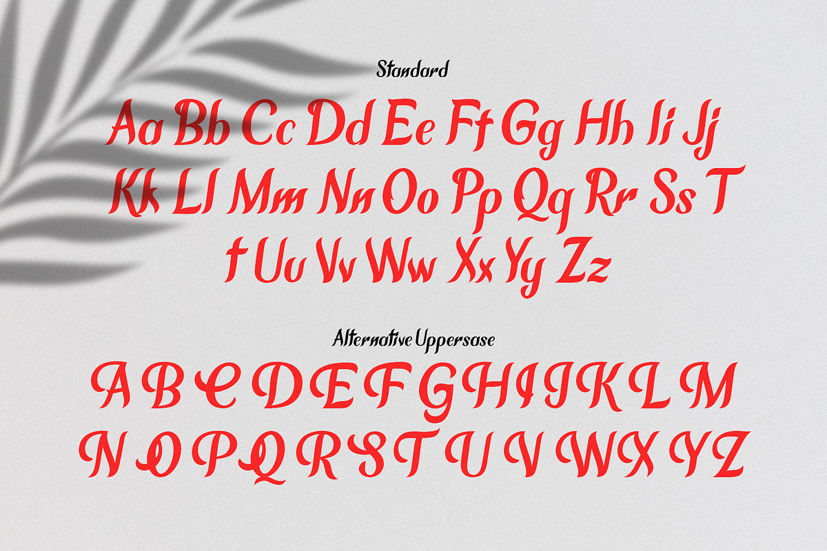Chameron Modern Serif preview 6