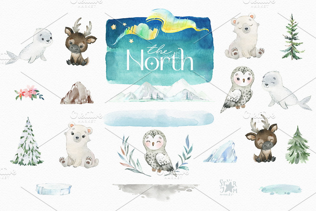 The North. Watercolor Collection, an Animal Illustration by StarJam (Photo 2 of 8)