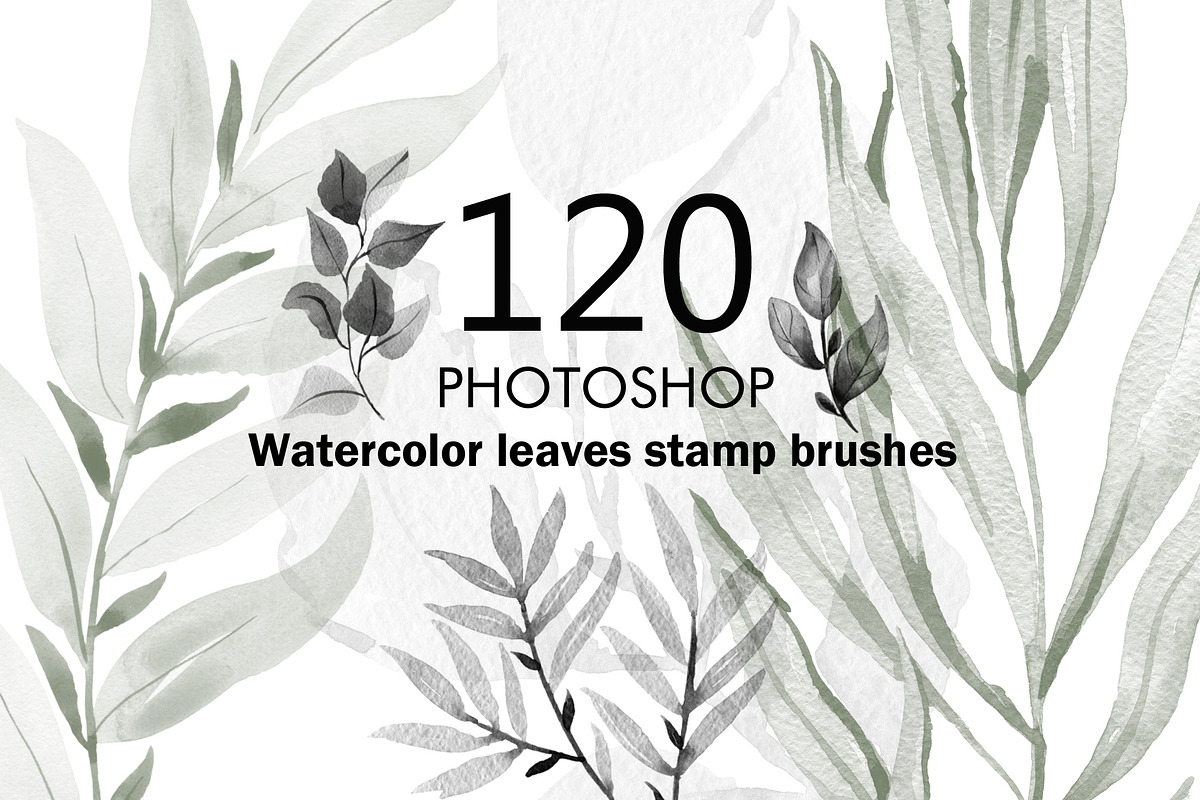 Brushes Bundle for Photoshop., a Brush Add-On by TaPilipa (Photo 14 of 33)