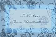 25 Vintage Flora Illustrations, an Illustration by Alpha Mike Foxtrot (Thumbnail 1 of 5)