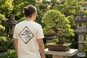 Bonsai Tree PNG, Japanese, an Illustration by SharpMarketplace (Thumbnail 4 of 4)