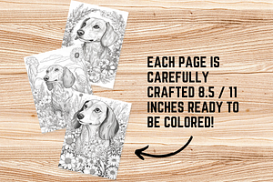 Dachshund Dog Coloring Book