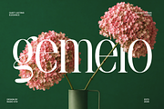 La Carena Modern Elegant Serif Font, a Serif Font by Rasio Studio (Thumbnail 6 of 9)
