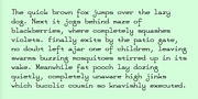 FeggoliteMono, a Slab Serif Font by Ingrimayne Type (Thumbnail 6 of 14)