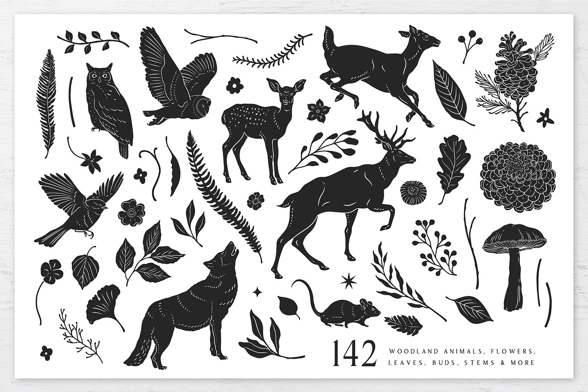 Woodland Wonders: 2 in 1 Graphic Set, a Decorative Illustration by rouxsupplyco (Photo 3 of 32)