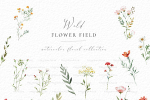 Wild Flower Field