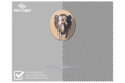 46 Water Fountain Photo Overlays, an Architecture Photo by KenScape (Thumbnail 2 of 3)
