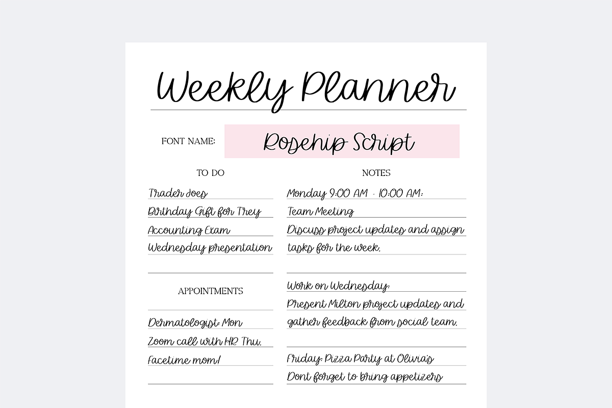Essential Digital Planner Fonts V3, a Handwritten Font by Blush Font Co. (Photo 6 of 9)