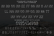 Bubble Over, a Handwritten Font by FreshTypeINK (Thumbnail 7 of 8)