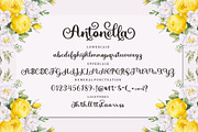 Antonella Script, a Script Font by Bosstype Studio (Thumbnail 6 of 8)