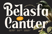 Belasfa Cantter Modern Serif Font, a Serif Font by timelesstype.co (Thumbnail 1 of 20)