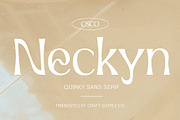 Neckyn - Quirky Sans Serif, a Serif Font by Craft Supply Co. (Thumbnail 1 of 8)