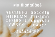 Aurelux: Modern Elegant Font, a Sans Serif Font by Andfonts (Thumbnail 9 of 9)