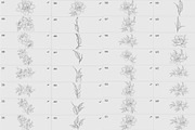 Procreate flower stamp, garden, a Brush Add-On by AnnaPolitmerskaja (Thumbnail 3 of 4)