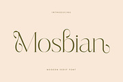Mosbian Modern Serif Font, a Serif Font by Letterena Studios (Thumbnail 1 of 15)