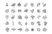 Plants Vector Icons, an Outline Icon by Tettygreen (Thumbnail 1 of 2)